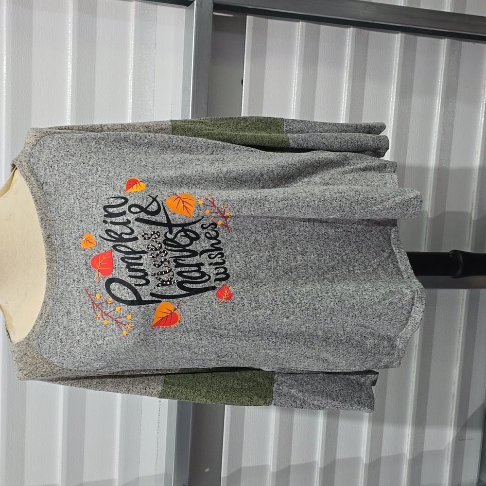 Relaxed Graphic Gray and‎ Orange Long Sleeve Tee Kate Park Size 2X